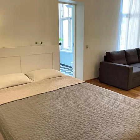 Apartment Spacious With Wifi And Parking *