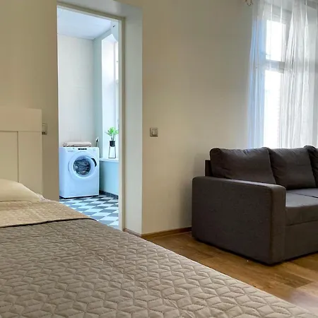 Spacious With Wifi And Parking Apartment *